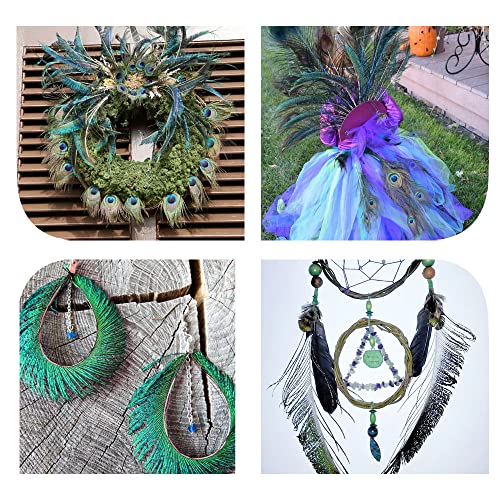 JorJorLer 40 pcs Sowder Natural Peacock Feathers 10-15 Inches for Crafts Multicolored DIY Craft Hat and Vase Decoration Wedding Flower Arrangement and Home Decorations Christmas Tree Decoration - Image 2