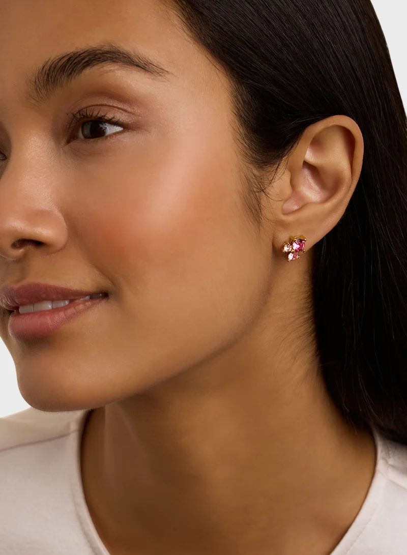 Ted Baker Crystal Detail Stud Earrings