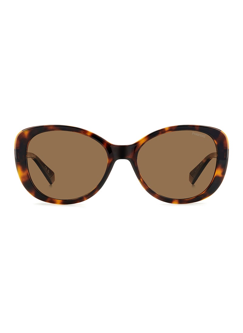 Women's Polarized Rectangular Sunglasses - Pld 4154/S/X Brown Millimeter - Lens Size: 55 Mm - pzsku/ZD9C0A295501FEDBA1084Z/45/_/1708348251/0c2246d9-481c-4bf7-bceb-d1ab0fd15183