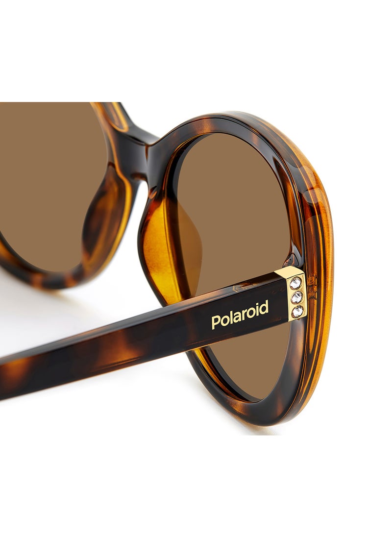 Women's Polarized Rectangular Sunglasses - Pld 4154/S/X Brown Millimeter - Lens Size: 55 Mm - pzsku/ZD9C0A295501FEDBA1084Z/45/_/1708348253/fe3c70e0-f2e7-4057-a518-a473c4fa3741