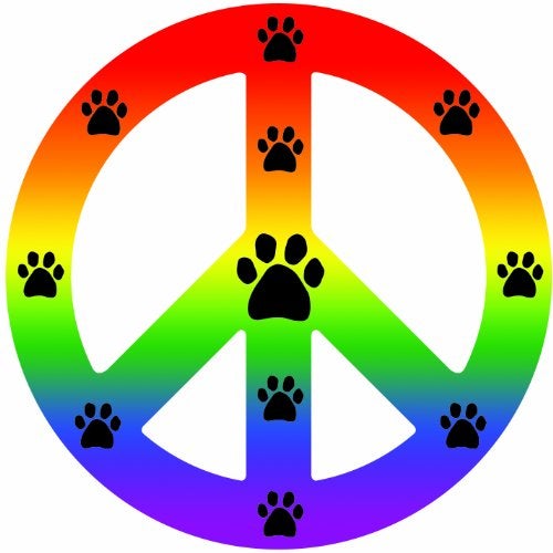 Imagine This Peace Car Magnet Sign, Rainbow, 41/2-Inch by 4-1/2-Inch - Image 1