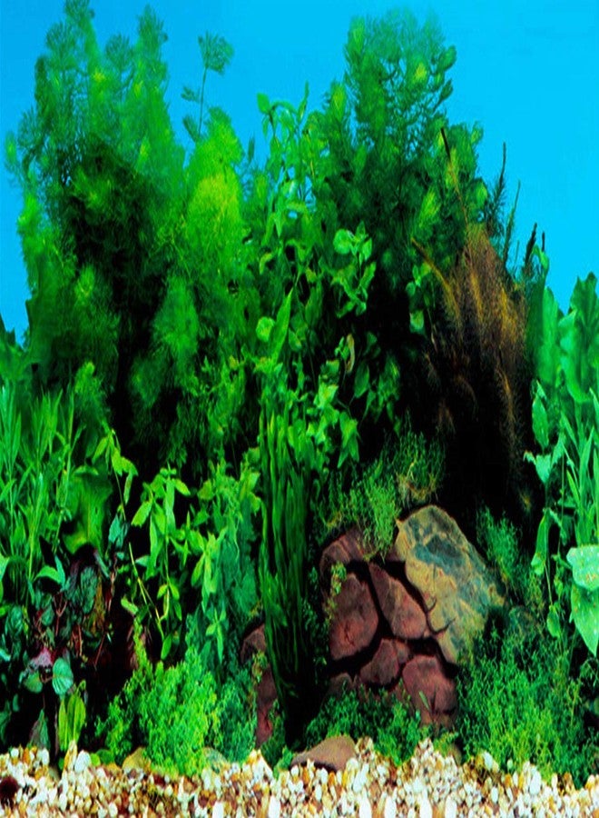 ELEBOX New 23" x 71" Fish Tank Background Stickers Wallpaper 2 Sided Seaweed Water Plants Aquarium Background Decoration - Image 3