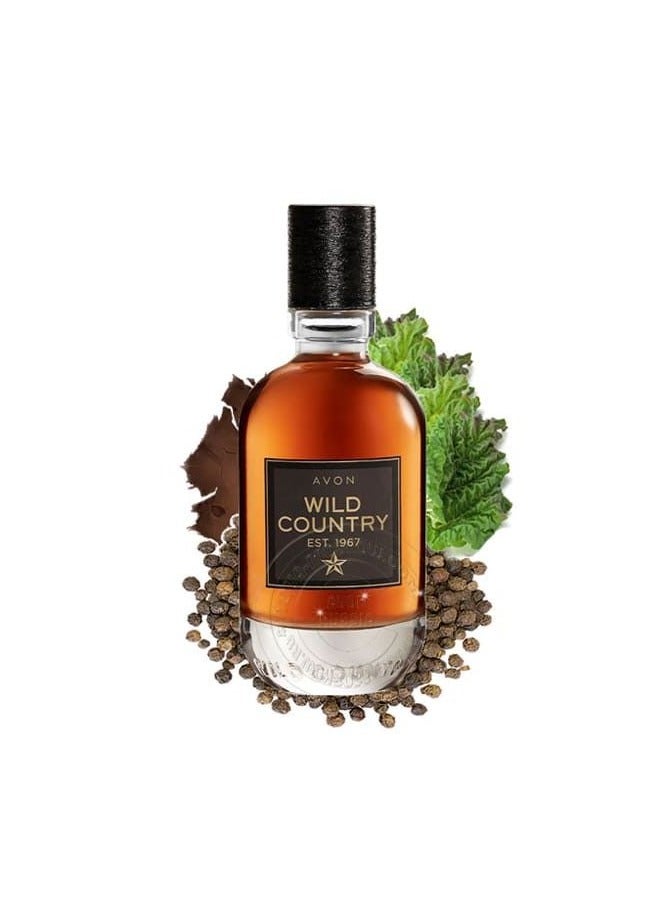 AVON Avon Wild Country 75ml - A Refreshing Woody Men's Fragrance - Image 5
