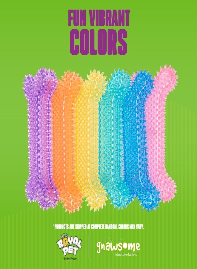 Gnawsome Dog Toys - Mega Squeaker Bone - Dental & Gum Wellness - Stimulating Fun - Hidden Squeaker - Durable for Heavy Chewers - 100% BPA-Free - Assorted Colors - Image 2