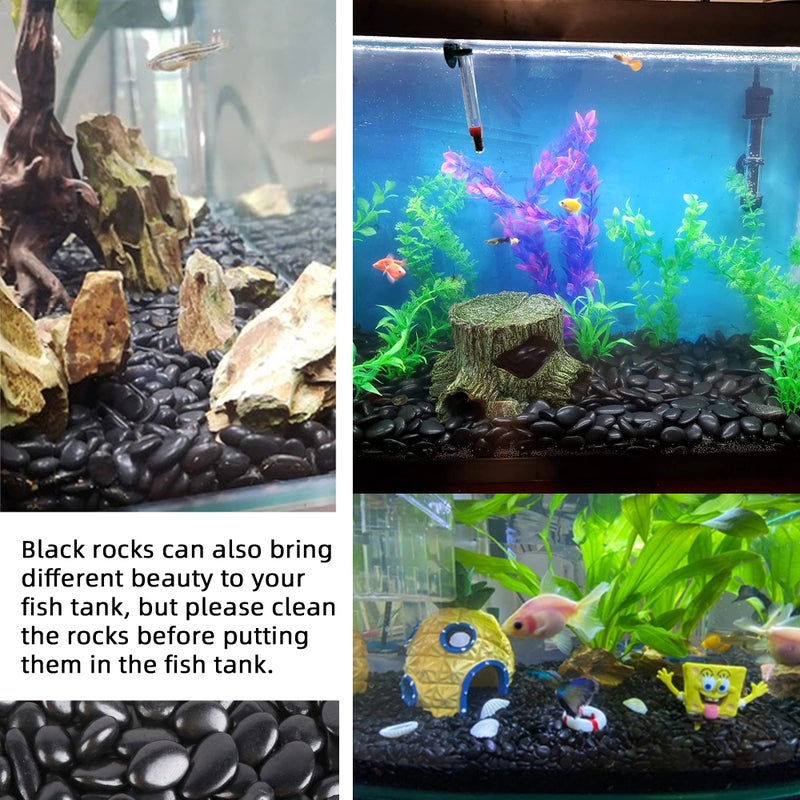 CJGQ Black Pebbles for Plants 3lb Bulk Bag 0.5"- 1" Aquarium Gravel Decorative Polished Stone Natural River Rocks for Fish Tankâ€¦ - Image 4