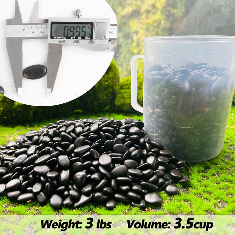CJGQ Black Pebbles for Plants 3lb Bulk Bag 0.5"- 1" Aquarium Gravel Decorative Polished Stone Natural River Rocks for Fish Tankâ€¦ - Image 2