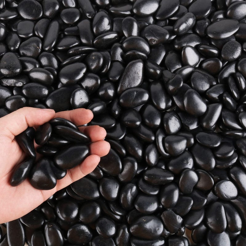 CJGQ Black Pebbles for Plants 3lb Bulk Bag 0.5"- 1" Aquarium Gravel Decorative Polished Stone Natural River Rocks for Fish Tankâ€¦ - Image 1