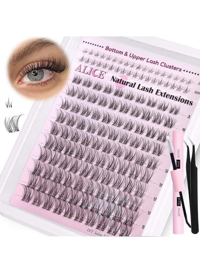 Alice Lash Clusters Kit Clear Band Natural Lash Extensions Kit 5-16Mm Wispy Cluster Eyelash Extension D Curl Diy Invisible Band Individual Cluster Lashes With Bottom Lash Bond And Seal Waterproof - Image 1
