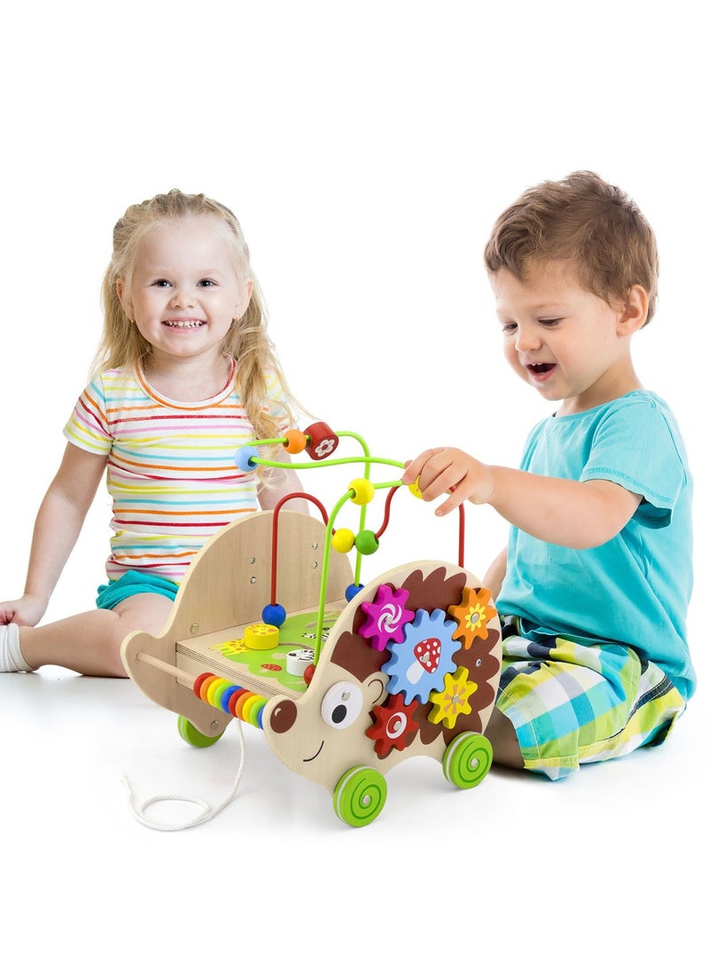 Wooden 5-in-1 Pull-Along Activity Hedgehog Toy