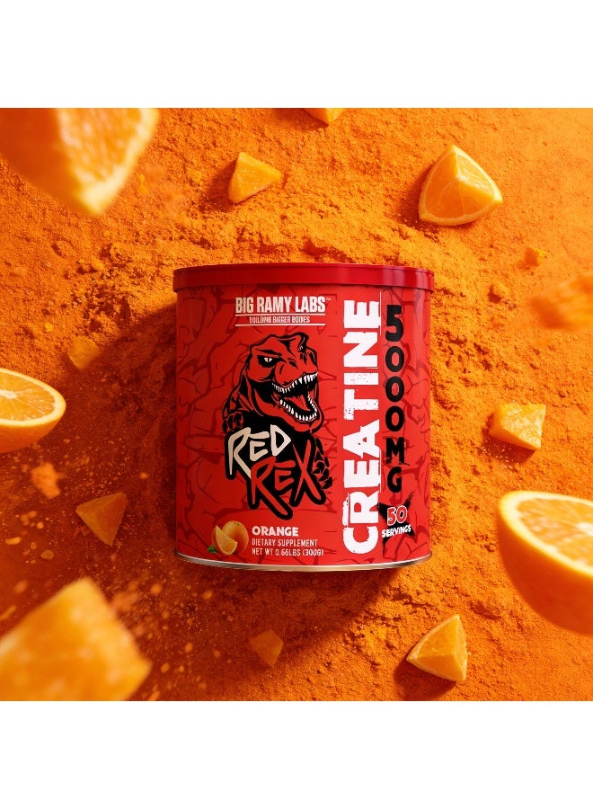 RED REX كرياتين برتقال 300 جرام - Image 2