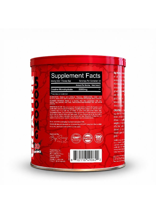 RED REX Creatine Monohydrate Powder - Orange Flavor - 300g - for Muscle Growth & Recovery - Image 2