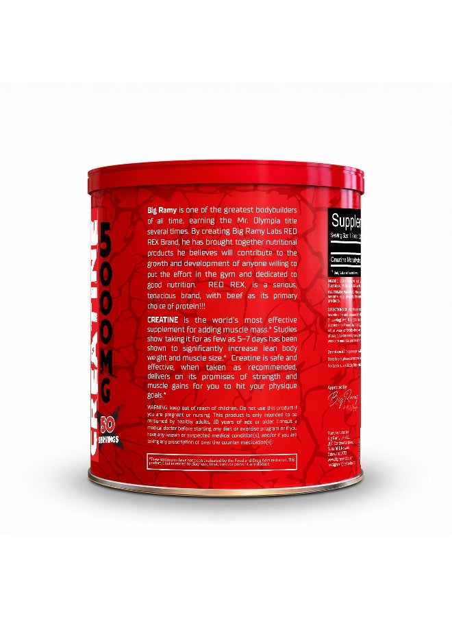 RED REX Creatine Monohydrate Powder - Orange Flavor - 300g - for Muscle Growth & Recovery - Image 3