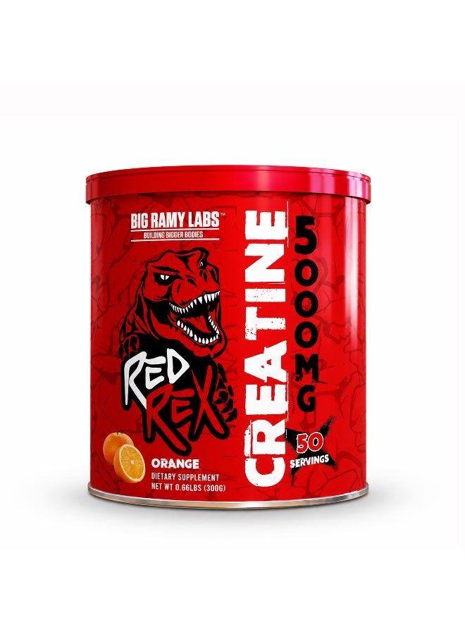 RED REX Creatine Monohydrate Powder - Orange Flavor - 300g - for Muscle Growth & Recovery - Image 1
