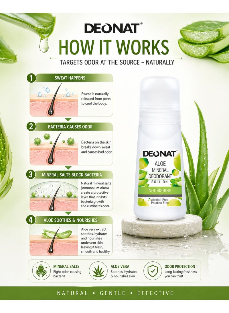 DEONAT Aloe Mineral Deodorant Roll On Nourishing with Aloe Vera Extract Hydrating Soothing Underarm Care Odor Protection Natural Mineral Deodorant Anti Bacterial Long Lasting Freshness Gentle Skin Care for Men and Women Daily Use Sensitive Skin 65 ml Pack of 3 - Image 3