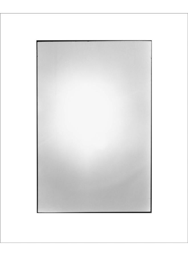 Zoe Leonard: Available Light 