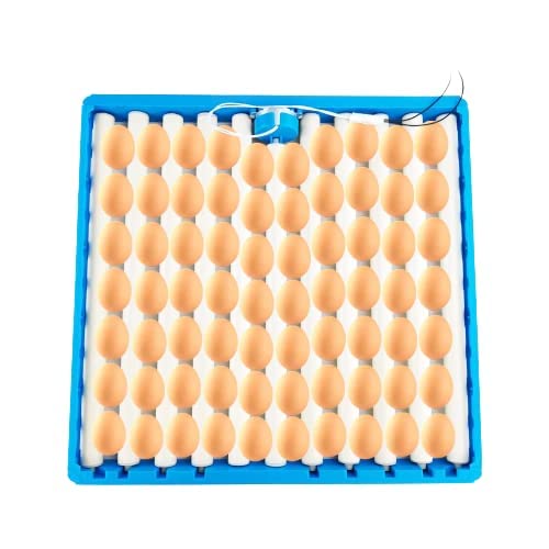 METRO IMPEX METRO IMPEX Fully Automatic Incubator Tray for Chicken Automatic Egg Incubator 70 Chicken Eggs Turner Tray PTC Heating for Chick for Quail for Duck Rotating Design  - Image 1