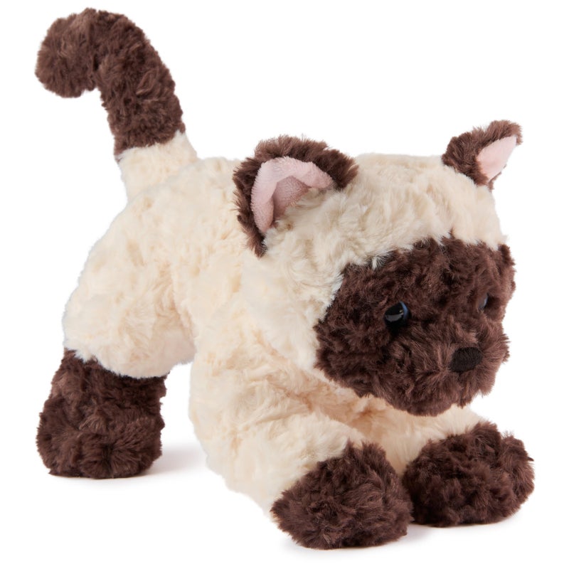 GUND Bootsie Siamese Kitten Plush Toy Premium Cat Stuffed Animal for Ages 1 and Up CreamBrown 9 - Image 2