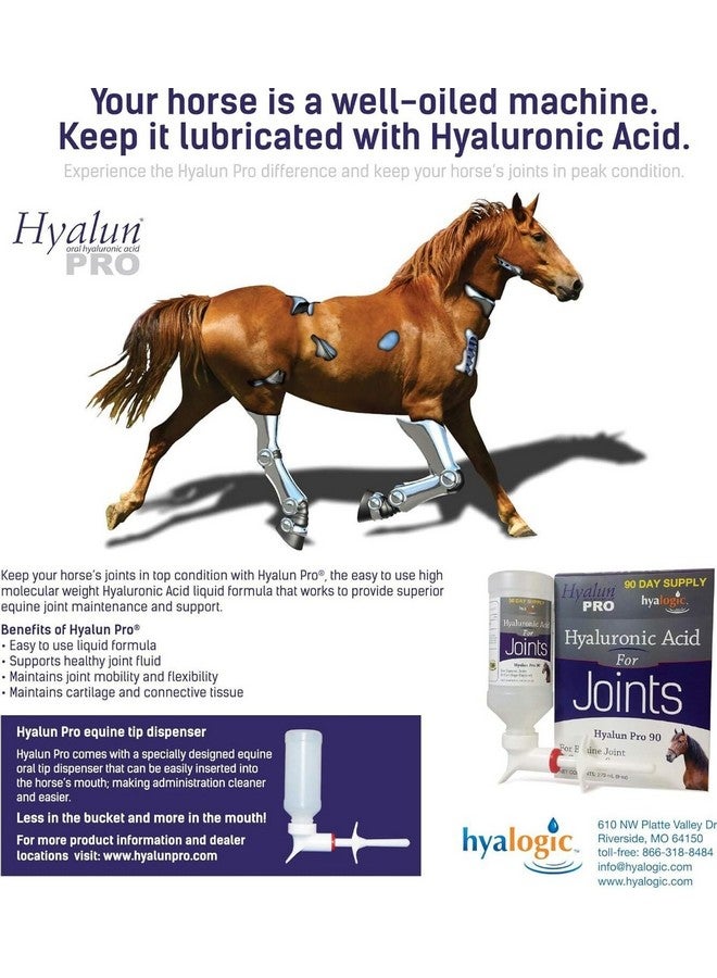 هالوجيك هيالوجيك هيالون برو 30 - مكمل غذائي بحمض الهيالورونيك لدعم المفاصل للخيول - محلول للعناية بالخيول مع موزع فموي سهل الاستخدام - يدعم صحة المفاصل والغضاريف - عبوة تكفي 30 يومًا (90 مل / 3 أونصة) - Image 4