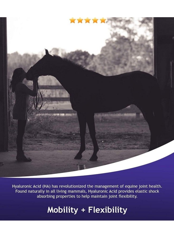 هالوجيك هيالوجيك هيالون برو 30 - مكمل غذائي بحمض الهيالورونيك لدعم المفاصل للخيول - محلول للعناية بالخيول مع موزع فموي سهل الاستخدام - يدعم صحة المفاصل والغضاريف - عبوة تكفي 30 يومًا (90 مل / 3 أونصة) - Image 5