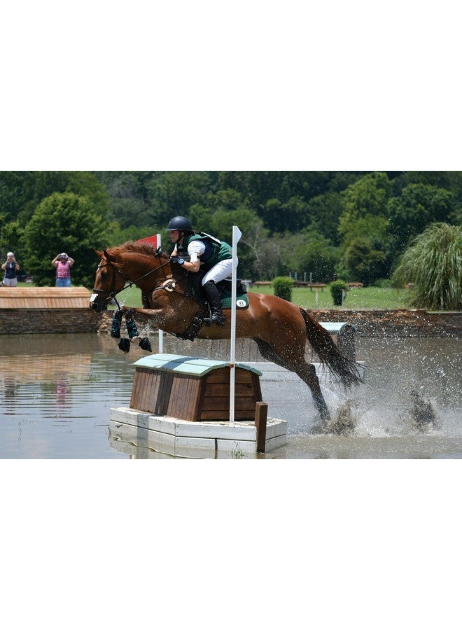 هالوجيك هيالوجيك هيالون برو 30 - مكمل غذائي بحمض الهيالورونيك لدعم المفاصل للخيول - محلول للعناية بالخيول مع موزع فموي سهل الاستخدام - يدعم صحة المفاصل والغضاريف - عبوة تكفي 30 يومًا (90 مل / 3 أونصة) - Image 3