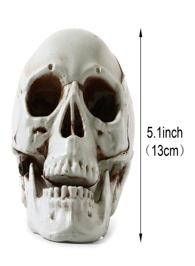 Sratte 4 Pcs Halloween Human Skull Model Human Adult Skull Plastic Skull Decor Fake Skull Decorations Realistic Skull Head Decor Head Bone Model Human Skeleton Head Human Skull Statue (5.1 Inch) - Image 2