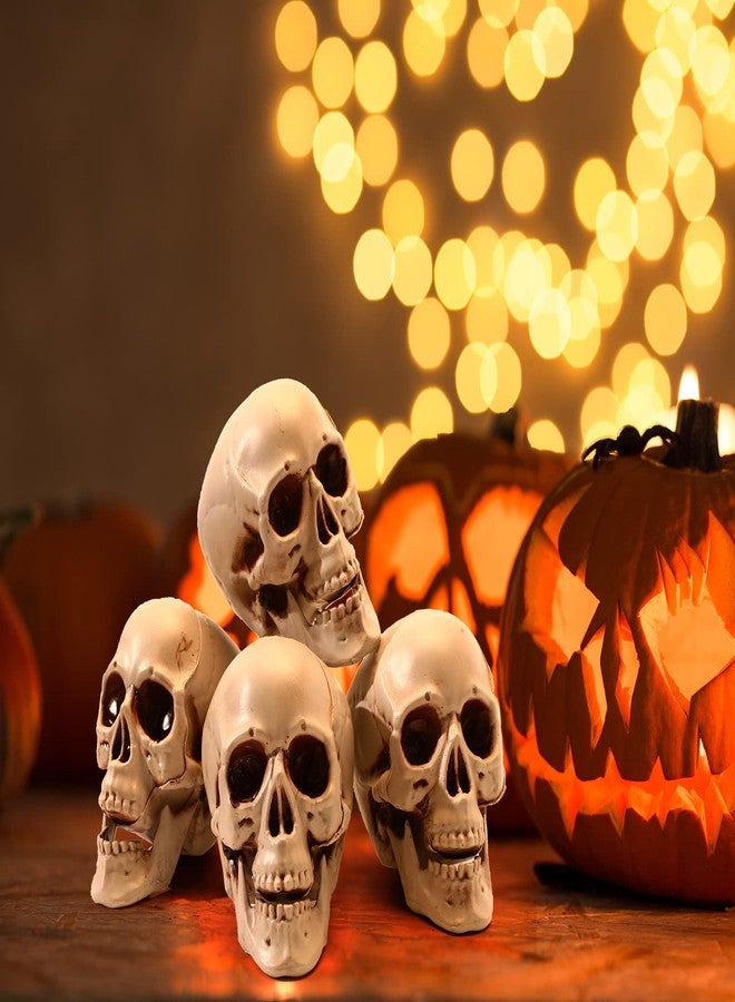 Sratte 4 Pcs Halloween Human Skull Model Human Adult Skull Plastic Skull Decor Fake Skull Decorations Realistic Skull Head Decor Head Bone Model Human Skeleton Head Human Skull Statue (5.1 Inch) - Image 3