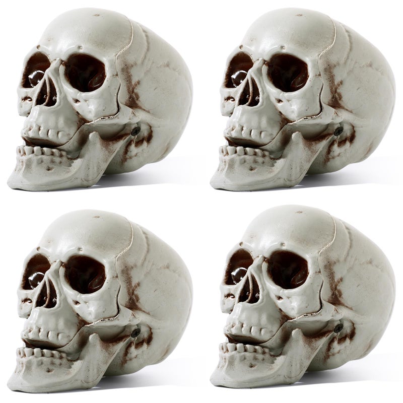 Sratte 4 Pcs Halloween Human Skull Model Human Adult Skull Plastic Skull Decor Fake Skull Decorations Realistic Skull Head Decor Head Bone Model Human Skeleton Head Human Skull Statue (5.1 Inch) - Image 1