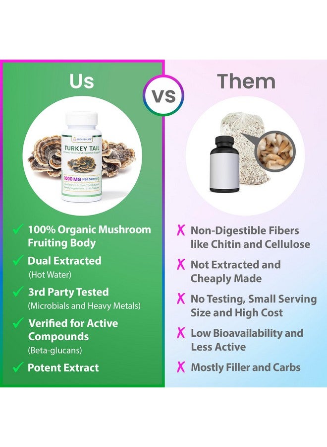 ENCAPSULATE Turkey Tail Capsules 8:1 Extract - Premium Organic Fruiting Body 8:1 Extract - Adaptogen Mushroom Supplement for Digestive, Gut & Immune Support - Lab Tested & Non-GMO - 60 Vegan Capsules - Image 4