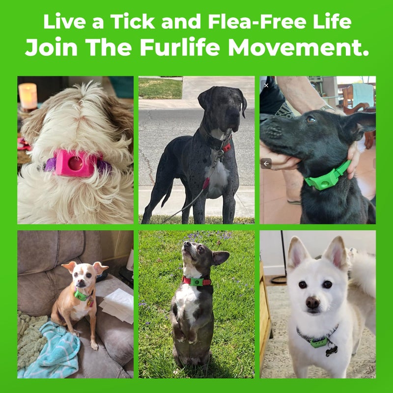FurLife Grey Dog Tag, Flea and Tick Prevention for Dogs - Waterproof Pendant for Collar, Safe for All Breeds - Image 5