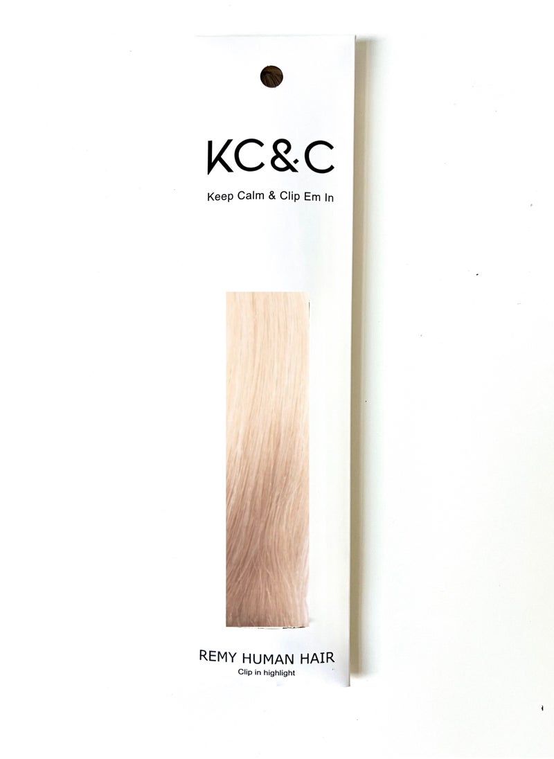 Keep Calm and Clip Em In - Dirty Blonde Ombre Hair Extension Clip-In - Image 1