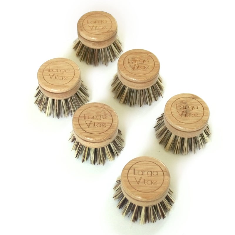 Larga Vitae 6 pcs Wooden Dish Brush Replacement Heads Made of Renewable Bamboo Wood and Natural Bristle Fiber Durable Long Lasting PalmCoconut Fiber Bristles