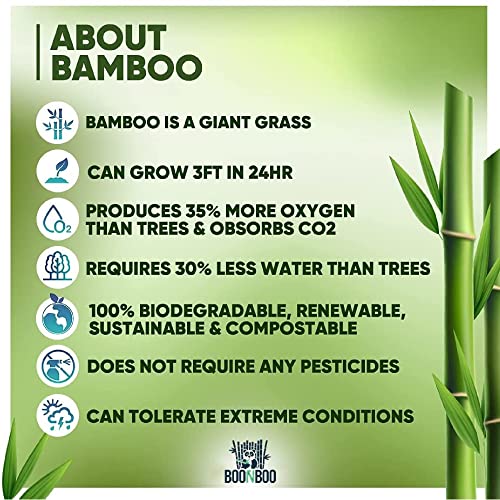 BOONBOO Bamboo Toilet Paper, 3-Ply Unbleached, 4 Rolls - Image 5