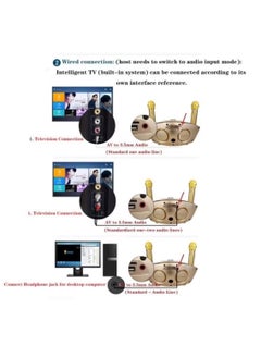 SDRD Karaoke Machine Portable Speaker Bluetooth Karaoke Speaker with Dual Wireless Mic for Kids and Adults – Wireless Speaker for Indoor and Outdoor Party, Birthday – SD-306  - Image 5