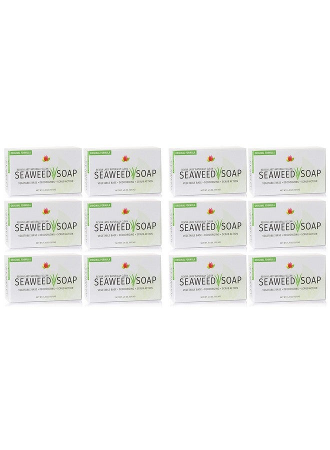 Reviva Labs Reviva Seaweed Soap 12 Pack Organic Seaweed Face Scrub And Exfoliating Body Scrub Soap Bar 4.5 Oz. Vegetable Base Natural Bar Soap And Seaweed Bath Detox Soap Made In The Usa - Image 1