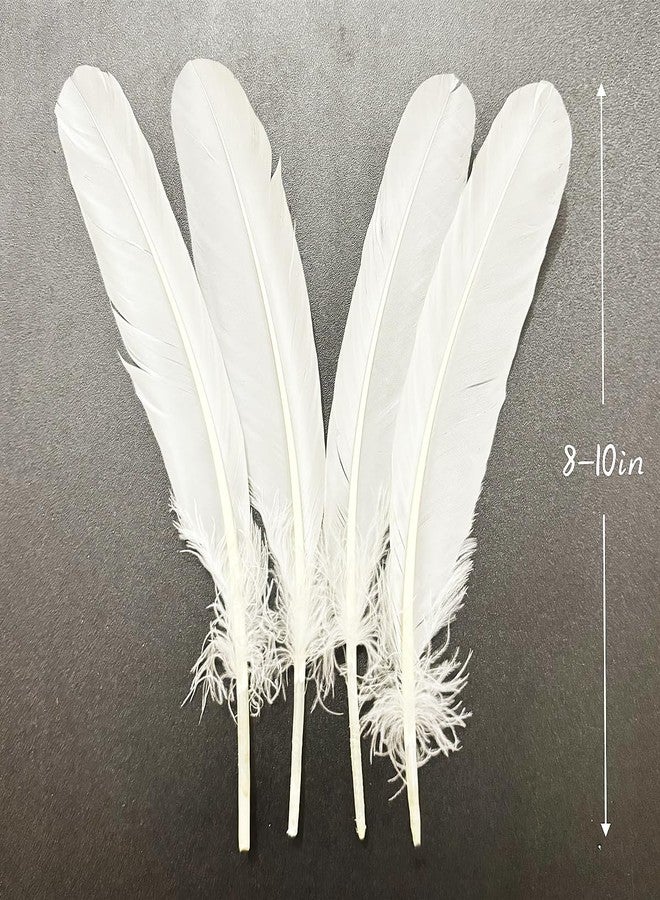 XKTEI White Feathers,Natural Long Goose Feather,8-10 inches,Large Size Bilateral Feathers,Left and Right Wings,11Pcs (Natural White) - Image 3