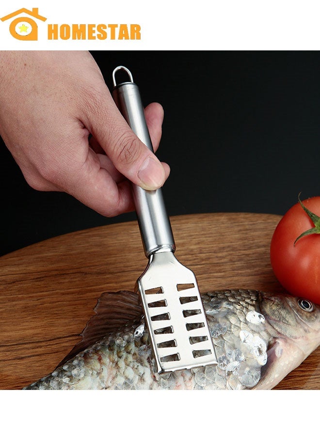 هومستر الفولاذ المقاوم للصدأ تنظيف دائم مقاييس الأسماك خدع ، أداة مقياس الأسماك ، سهلة الاستخدام ، المحمولة - Image 1