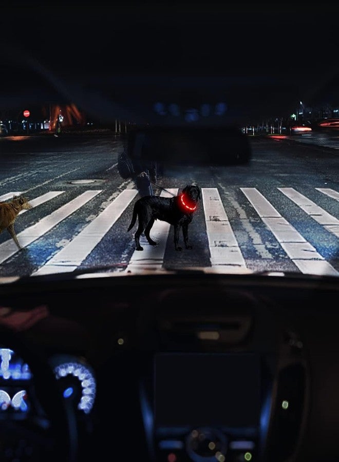 Joytale Light Up Dog Collar, Rechargeable Rainproof LED Collar for Night Walking Safety, Soft Silicone Glow in The Dark, Suitable for Small Medium Large Dogs, Red - Image 2