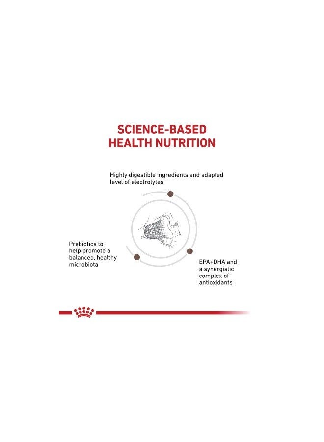 رويال كانين طعام القطط الجاف المستجيب للألياف الهضمية من رويال كانين - تركيبة عالية الألياف للقطط التي تعاني من مشاكل في الجهاز الهضمي، وتخفيف الإمساك، وصحة الأمعاء المثالية 400 جرام - Image 2