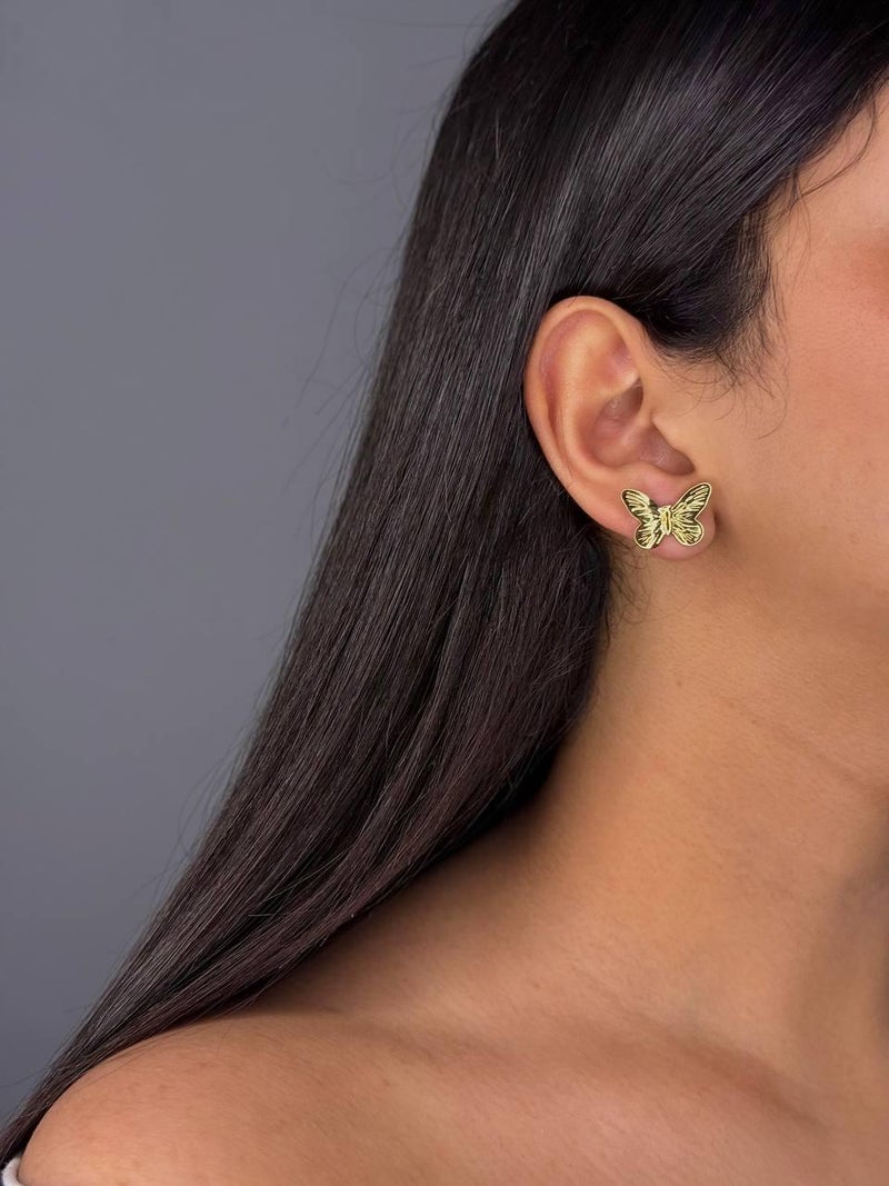 فلافي أقراط الفراشة