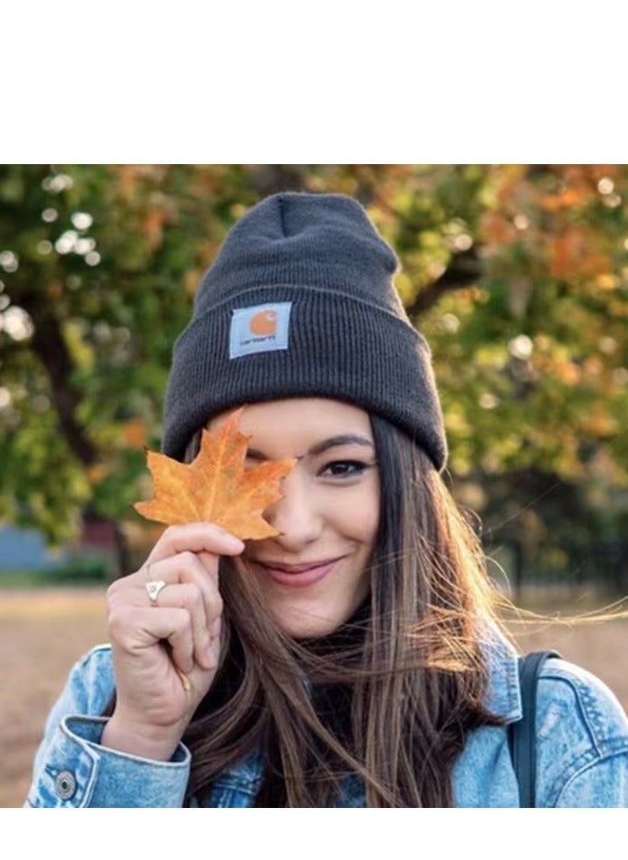 carhartt - Carhartt Knit Cuffed Beanie Rose red - Image 1