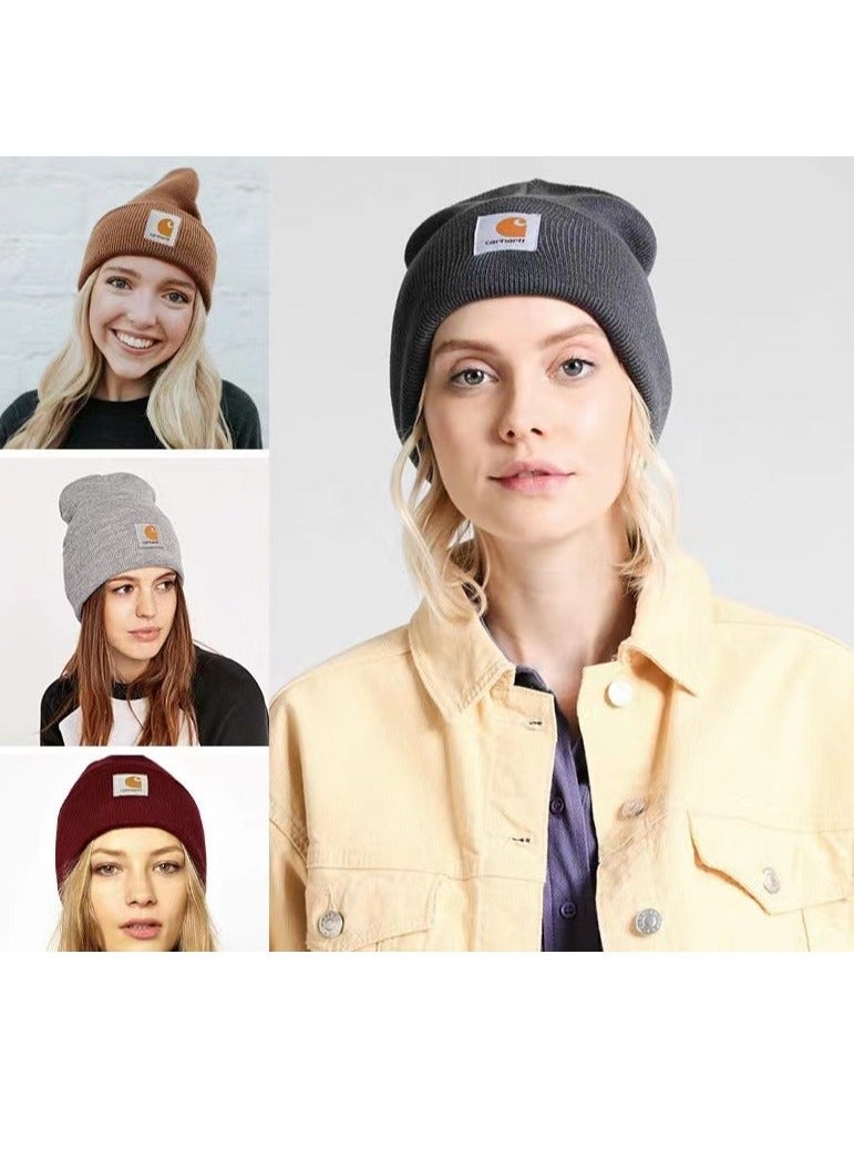 carhartt - Carhartt Knit Cuffed Beanie Rose red - Image 1