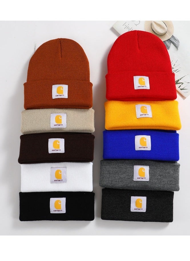 carhartt - Carhartt Knit Cuffed Beanie Rose red - Image 1