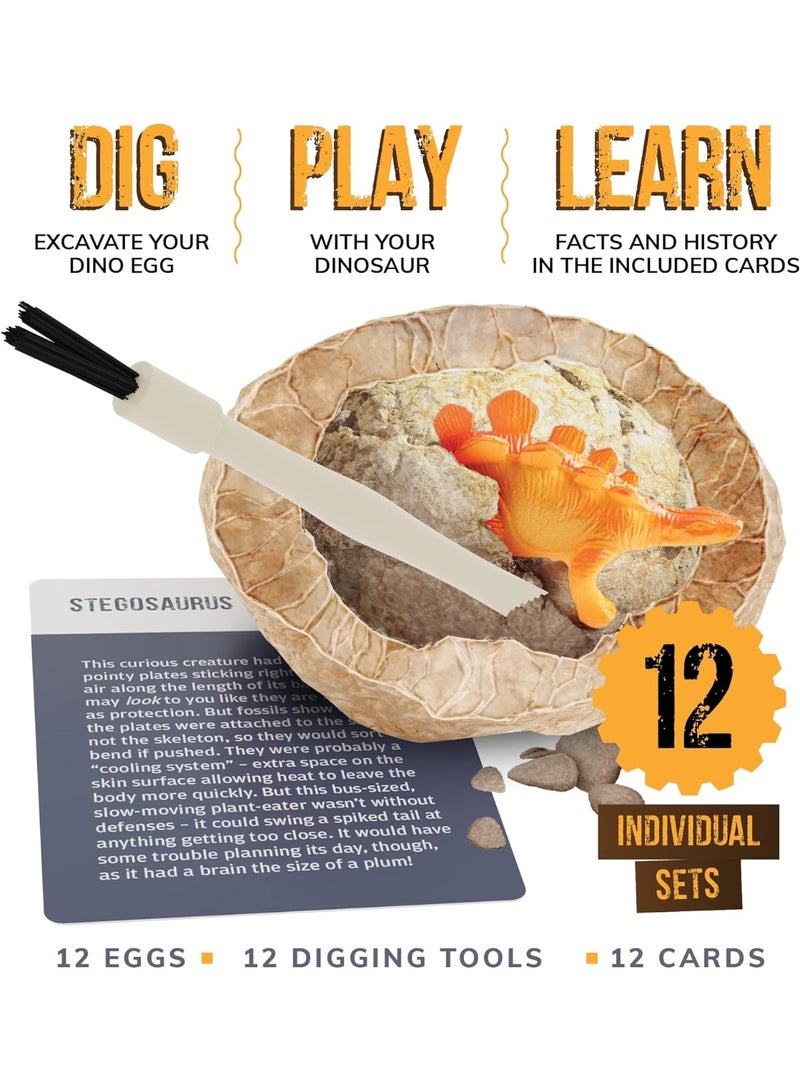 Bukela Dig a Dozen Dino Egg Kit for Kids - Dinosaur Toys Gift 3-12 Year Old - 12 Eggs & Surprise Dinosaurs - Basket Stuffers - Science STEM Activities - Boy Toy Party Gifts for Boys & Girls - Image 3
