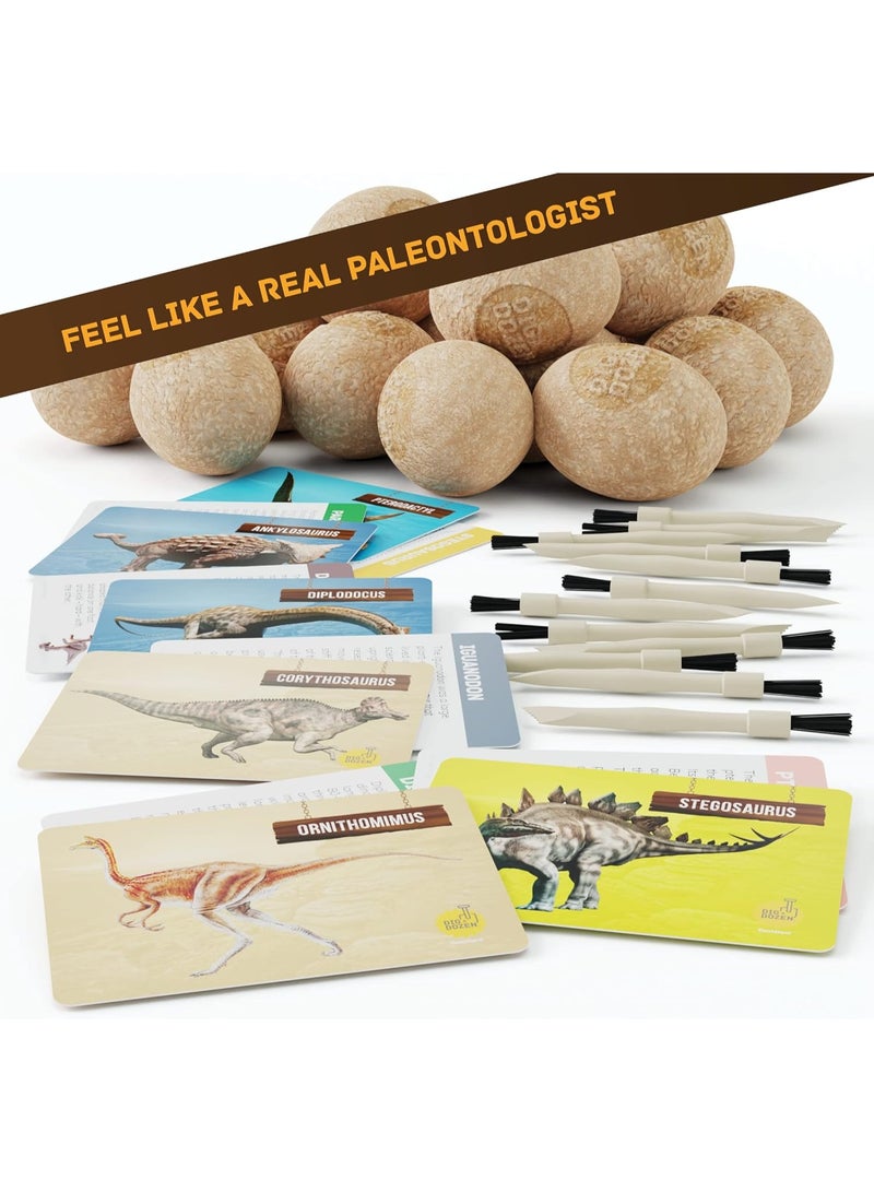 Bukela Dig a Dozen Dino Egg Kit for Kids - Dinosaur Toys Gift 3-12 Year Old - 12 Eggs & Surprise Dinosaurs - Basket Stuffers - Science STEM Activities - Boy Toy Party Gifts for Boys & Girls - Image 4