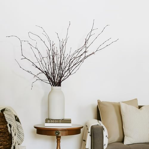 Ruidazon 200 Pcs Real Dried Birch Branches, 17 Inch Natural Birch Twigs Tall Birch Tree Sticks for Decorative Vases, Crafts, DIY Floral Arrangements Wreath Wedding Centerpiece Home Decor - Image 2