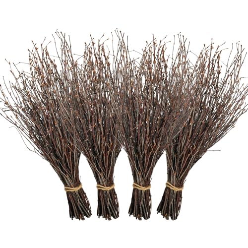 Ruidazon 200 Pcs Real Dried Birch Branches, 17 Inch Natural Birch Twigs Tall Birch Tree Sticks for Decorative Vases, Crafts, DIY Floral Arrangements Wreath Wedding Centerpiece Home Decor - Image 1