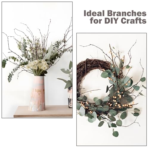 Ruidazon 200 Pcs Real Dried Birch Branches, 17 Inch Natural Birch Twigs Tall Birch Tree Sticks for Decorative Vases, Crafts, DIY Floral Arrangements Wreath Wedding Centerpiece Home Decor - Image 5
