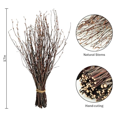 Ruidazon 200 Pcs Real Dried Birch Branches, 17 Inch Natural Birch Twigs Tall Birch Tree Sticks for Decorative Vases, Crafts, DIY Floral Arrangements Wreath Wedding Centerpiece Home Decor - Image 3