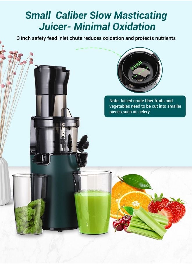 INKBIRD - INKBIRD Electric Juicer Fruits Cold Press Squeezer Vegetable Processor Slow Masticating Juicer Machine 200W for Celery Carrot Slow Juicer Machine with Chute and 800ml Juice Cup BPA-Free Easy to Clean - Image 1