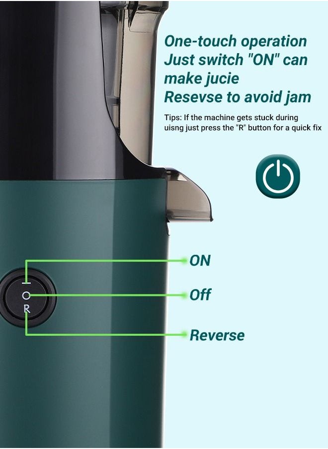 INKBIRD - INKBIRD Electric Juicer Fruits Cold Press Squeezer Vegetable Processor Slow Masticating Juicer Machine 200W for Celery Carrot Slow Juicer Machine with Chute and 800ml Juice Cup BPA-Free Easy to Clean - Image 1